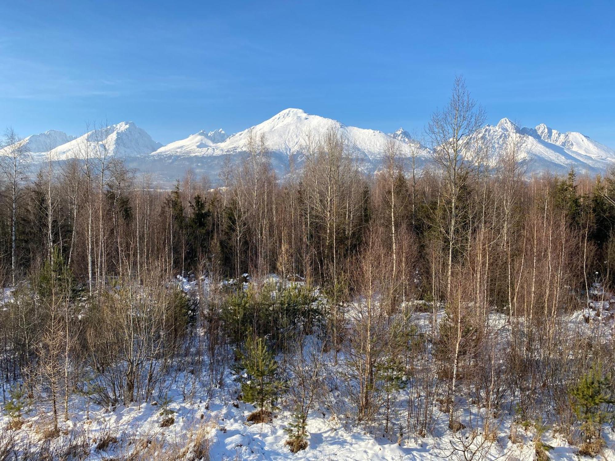 Apartman S Nadhernym Vyhladom Na Tatry Veľký Slavkov Eksteriør bilde